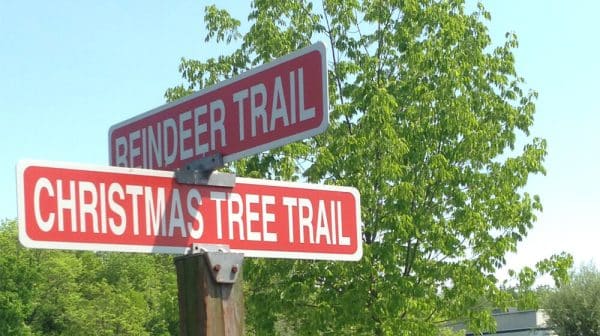 christmas in july street signs