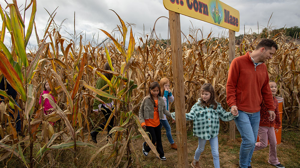 Holiday-World-Halloween-Weekends-1000x560.jpg