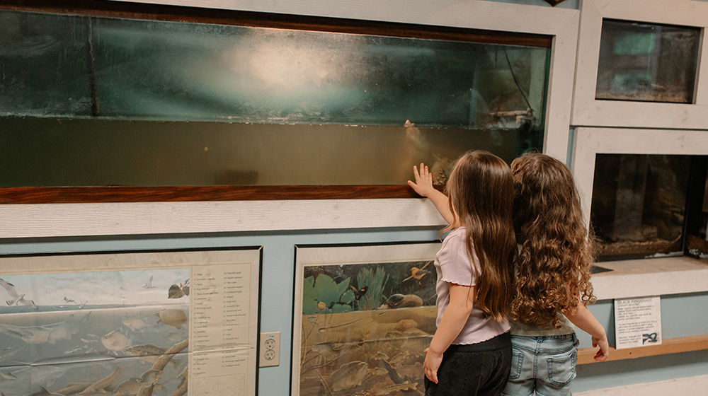 Lincoln-State-Park-Nature-Center-Around-Holiday-World-1000x560.jpg