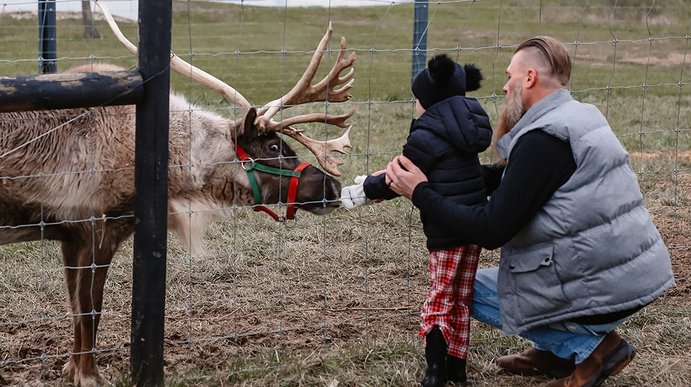 Santas-Reindeer-Ranch-Christmas-1000x560.jpg