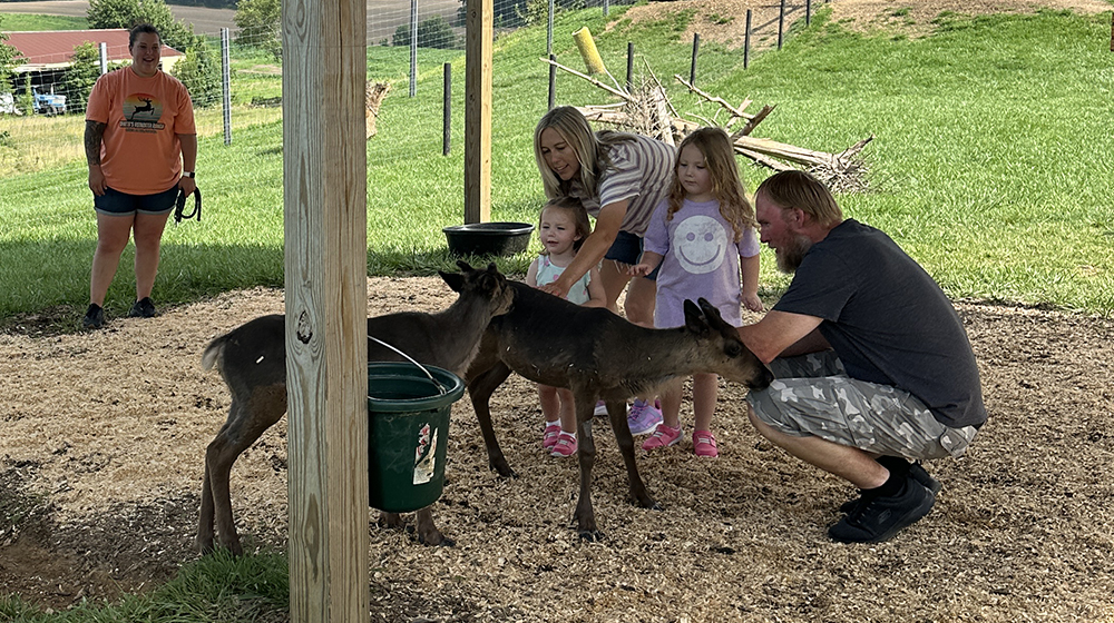Santas-Reindeer-Ranch-Summer-1000x560.jpg