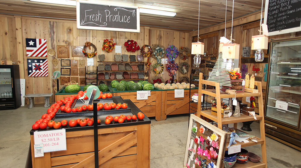 Pumpkins and More Farm Market