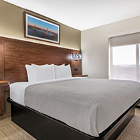 Hotels and Motels