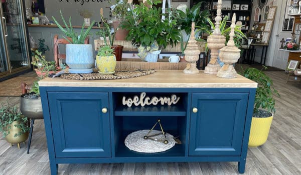 Blue console table displays potted plants and decorative items in a home decor store