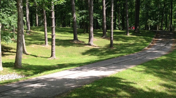 Tree-lined paved road at Lincoln State Park in summer