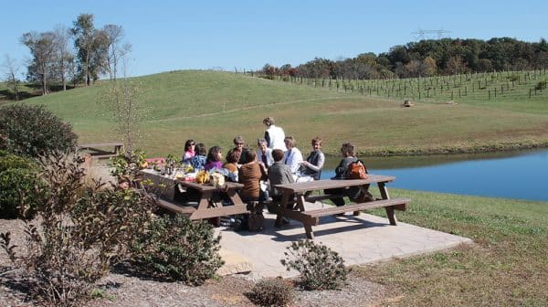 Group of people sit at picnic tables overlooking vineyard and lake at Monkey Hollow Winery and Distillery