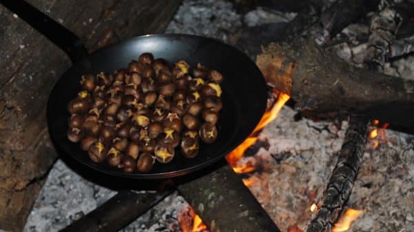 Pan of roasted chestnuts is held over a fire at Santa's Candy Castle