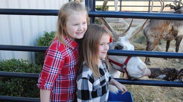 Two young girls pose next to a live reindeer during the live reindeer exhibit at Santa's TOYS